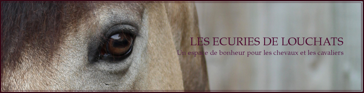 LES ECURIES DE LOUCHATS